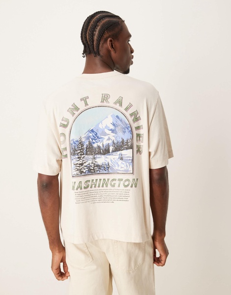 Abercrombie & Fitch National Parks Mount Rainer back print crop T-shirt in moonbeam