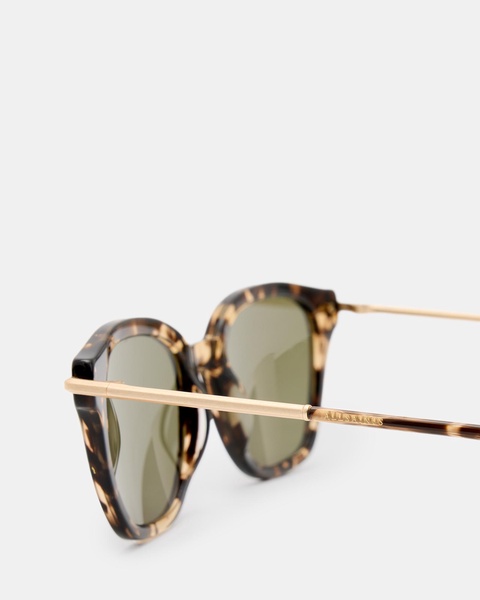 Valensi Panto Shape Sunglasses