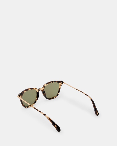Valensi Panto Shape Sunglasses