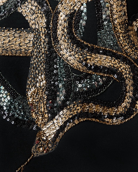 Slitha Separo Sequin Sweatshirt