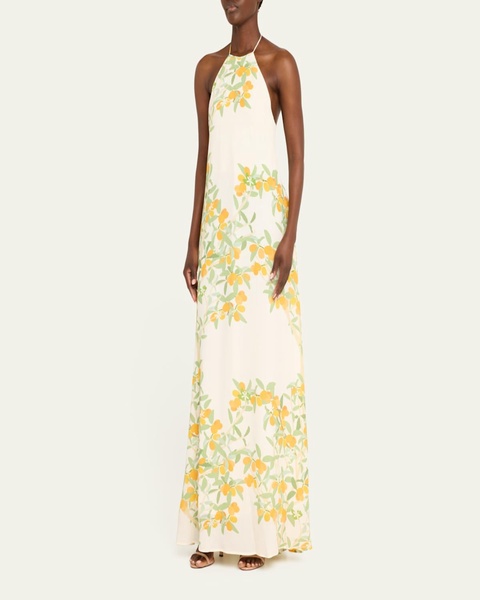 Frannie Floral Print Maxi Dress