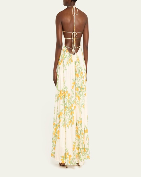 Frannie Floral Print Maxi Dress