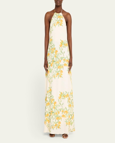 Frannie Floral Print Maxi Dress