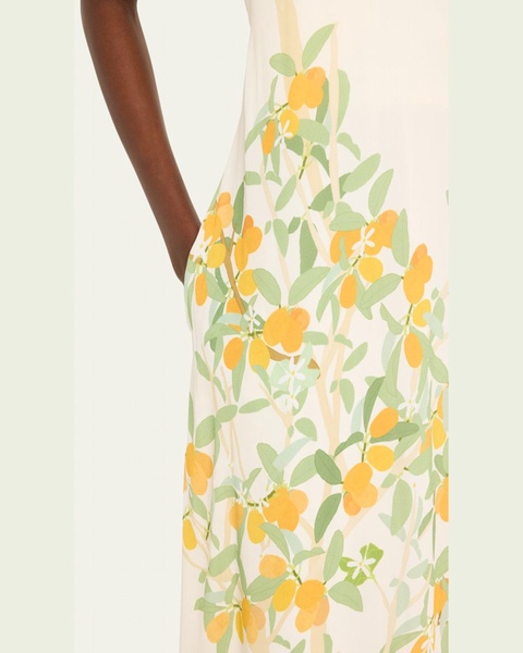 Frannie Floral Print Maxi Dress