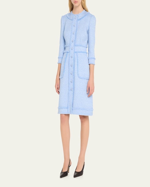 Rachel Tweed Fringe Dress