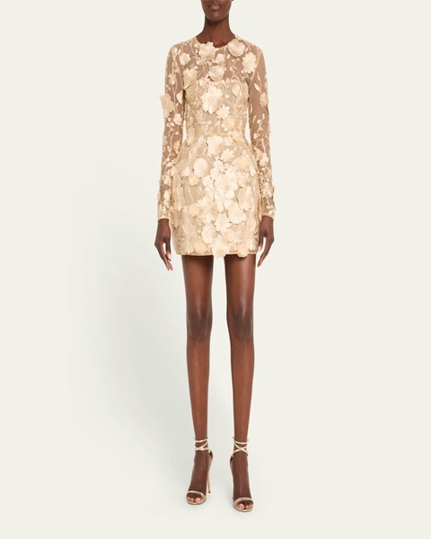 Bouquet Maraya Embroidered Illusion Mini Dress