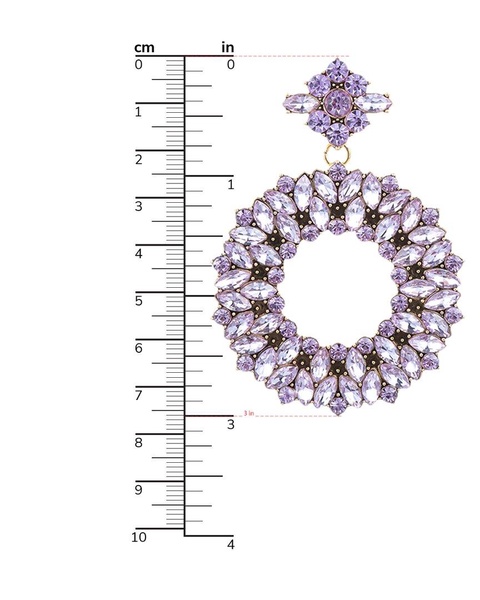 Eye Candy LA Crystal Loop Drop Earrings