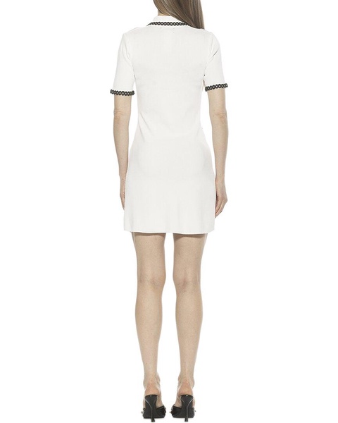 Alexia Admor Odette Shirtdress