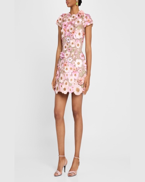 Jasmine Embroidered Floral Applique Mini Dress
