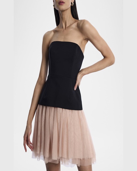 Strapless Tutu Mini Dress