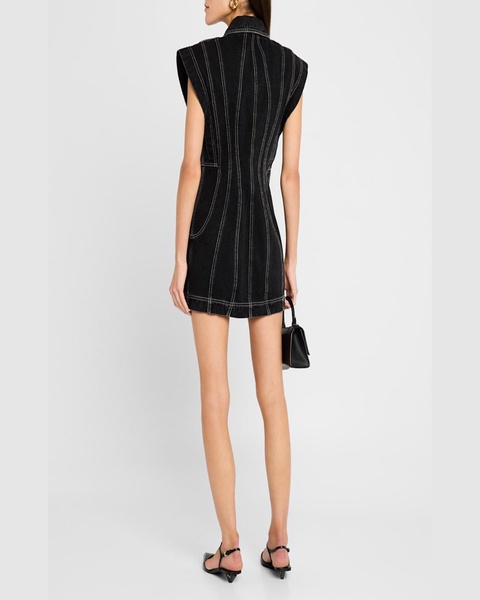 Eagleton Denim Mini Dress