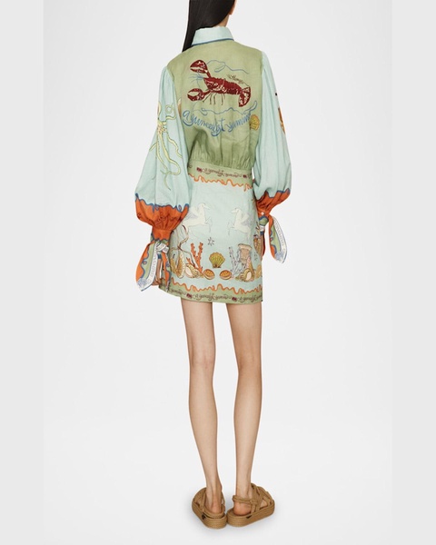 Surrealist Summer Mini Shirtdress