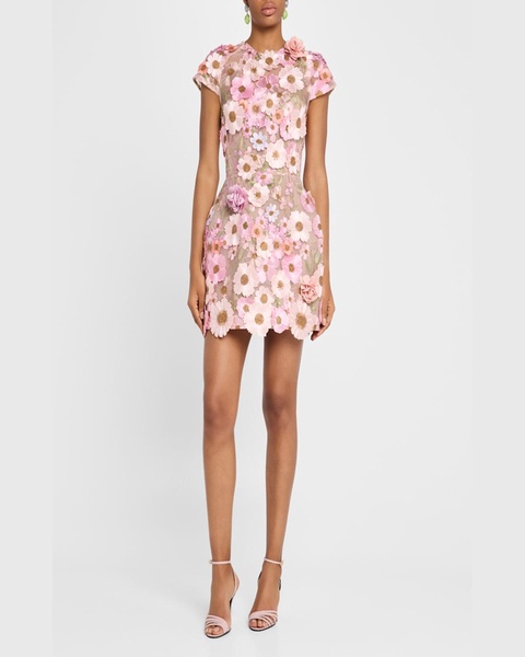 Jasmine Embroidered Floral Applique Mini Dress
