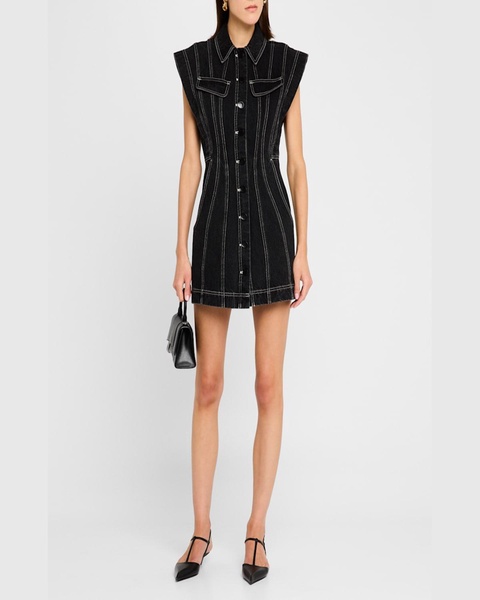Eagleton Denim Mini Dress