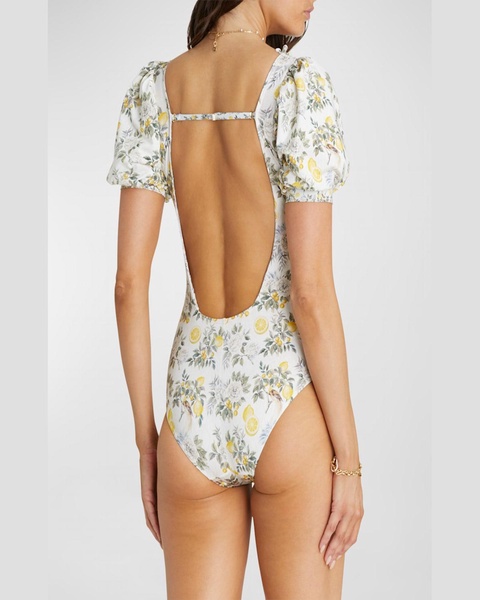 Ariel One-Piece Swimsuit (A-C Cup) 