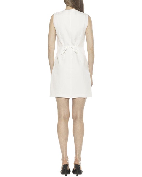 Alexia Admor Bridgette Shirtdress