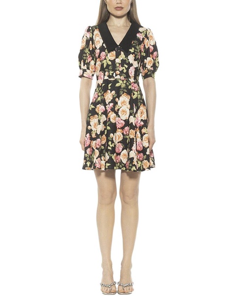 Alexia Admor Carys Fit & Flare Dress