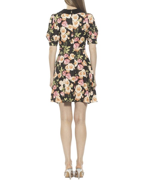 Alexia Admor Carys Fit & Flare Dress
