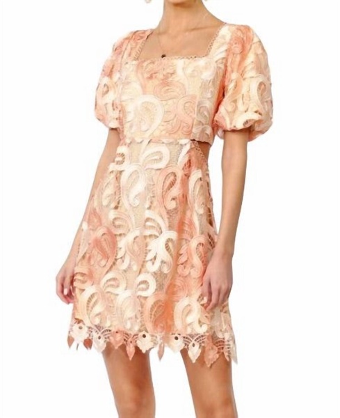 giselle ombre lace dress in coral