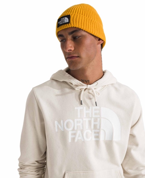 Men's Half Dome Pullover Hoodie
