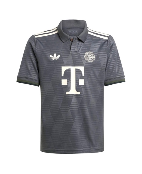 Big Boys and Girls Gray Bayern Munich 2024/25 Wiesn Replica Jersey