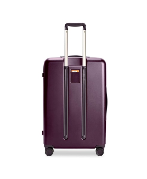 30" Sympatico Large Expandable Spinner