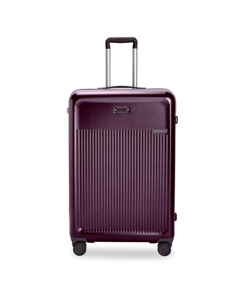 30" Sympatico Large Expandable Spinner