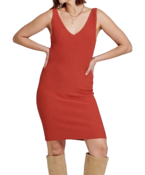 nalani mini dress in brick