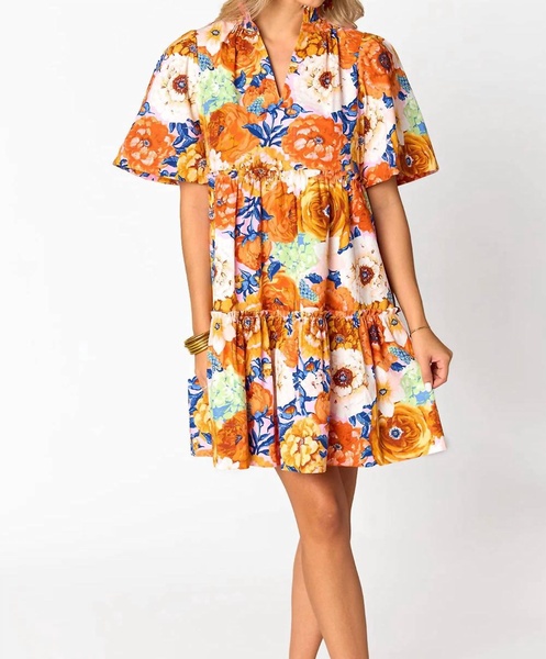 bradley swing dress in seeya later