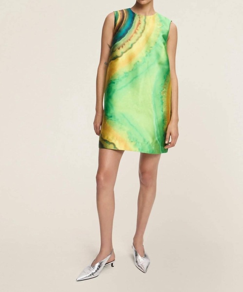 iris mini dress in green