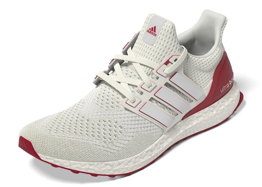 adidas Men's Ultraboost 1.0 Shoe