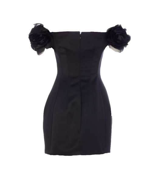 Elisabetta Franchi Dresses