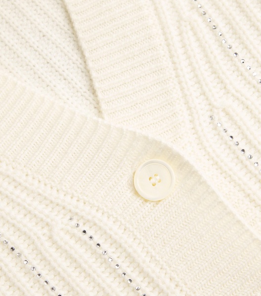 Virgin Wool-Cashmere Embellished Cardigan