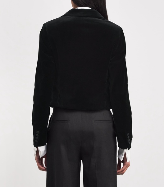 Velvet Cropped Blazer