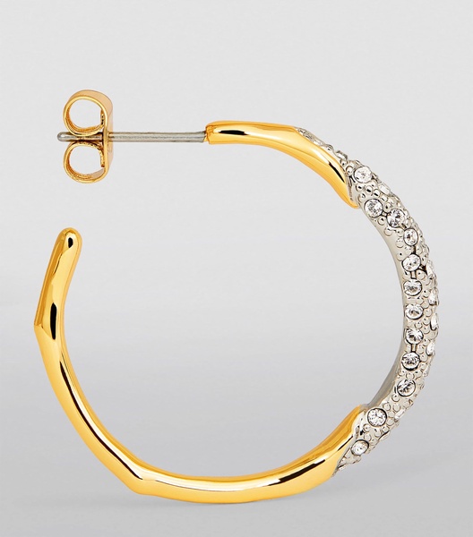 Gold-Plated Pavé Solalnes Hoop Earrings