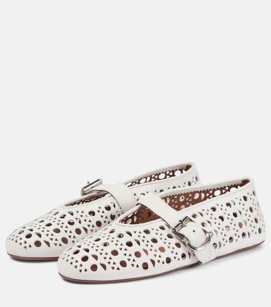 Vienne leather ballet flats