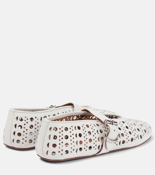 Vienne leather ballet flats