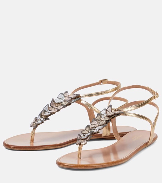 Papillon leather thong sandals