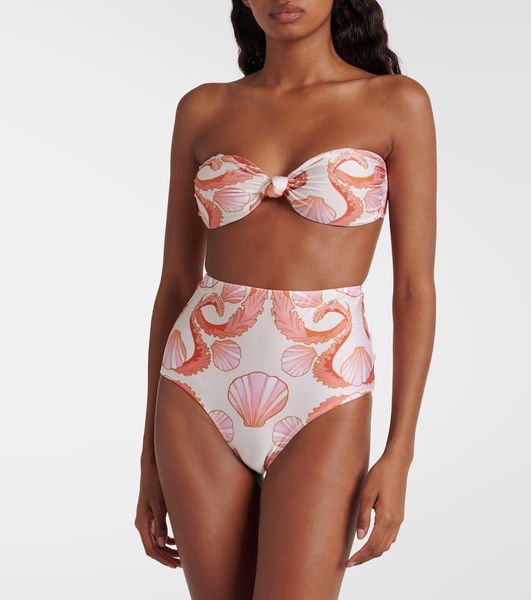 Seashell high-rise bikini