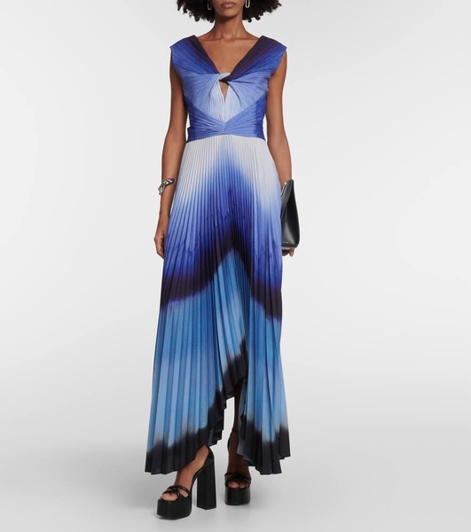 Printed pleated maxi dress