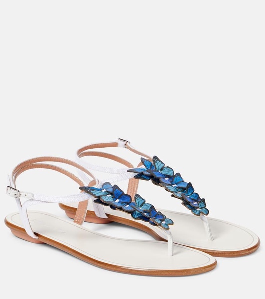 Papillon leather-trimmed canvas sandals