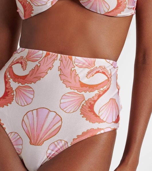 Seashell high-rise bikini