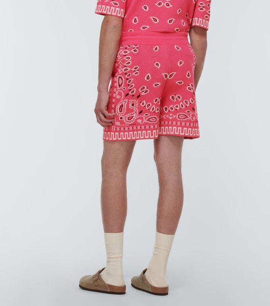 Bandana cotton-blend piqué shorts