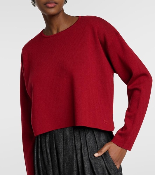 Angelo wool sweater