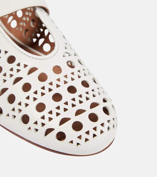 Vienne leather ballet flats