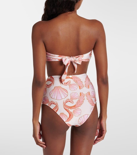Seashell high-rise bikini