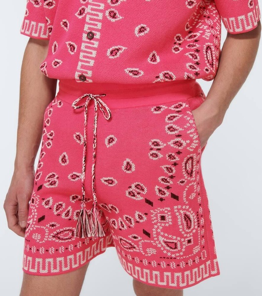 Bandana cotton-blend piqué shorts