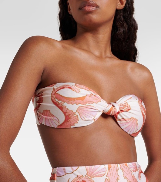Seashell high-rise bikini