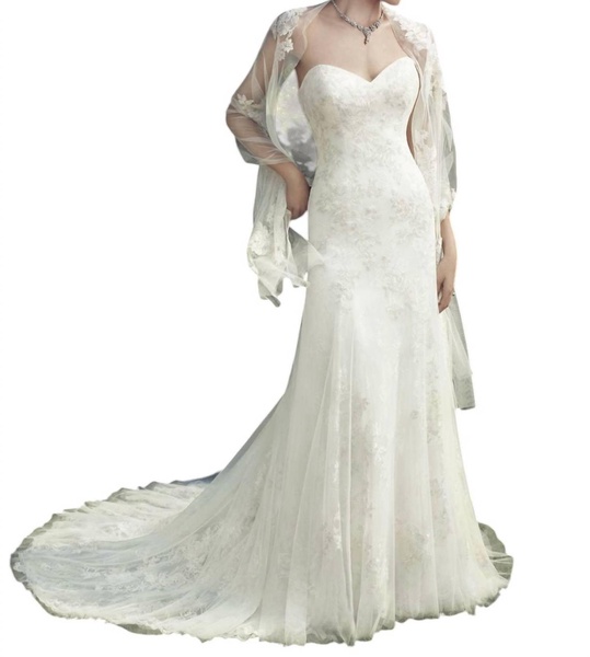 lace appliqué a-line gown in ivory/ivory/silver