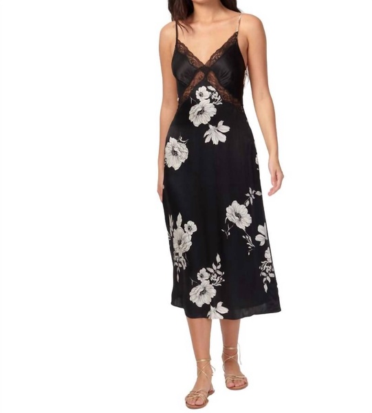 marilyn dress in black botanical